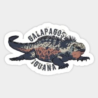 Galapagos iguana Sticker